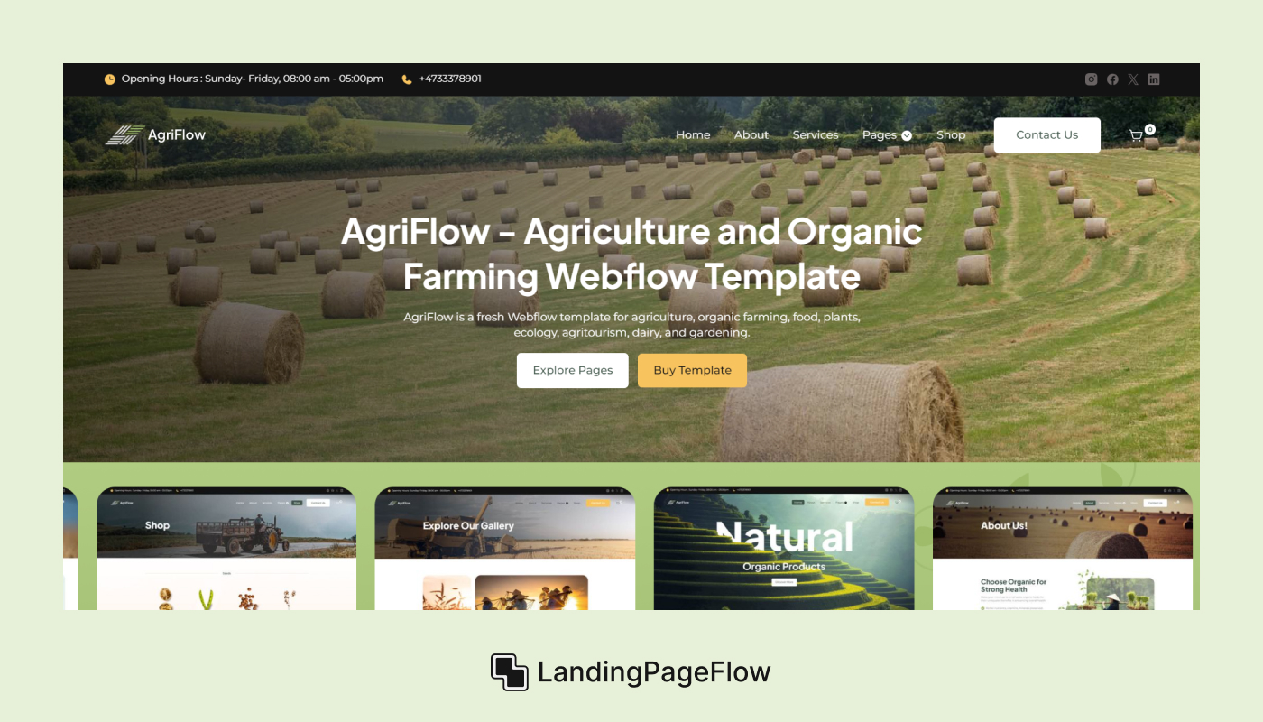 Understanding the Purpose of a Splash Page
