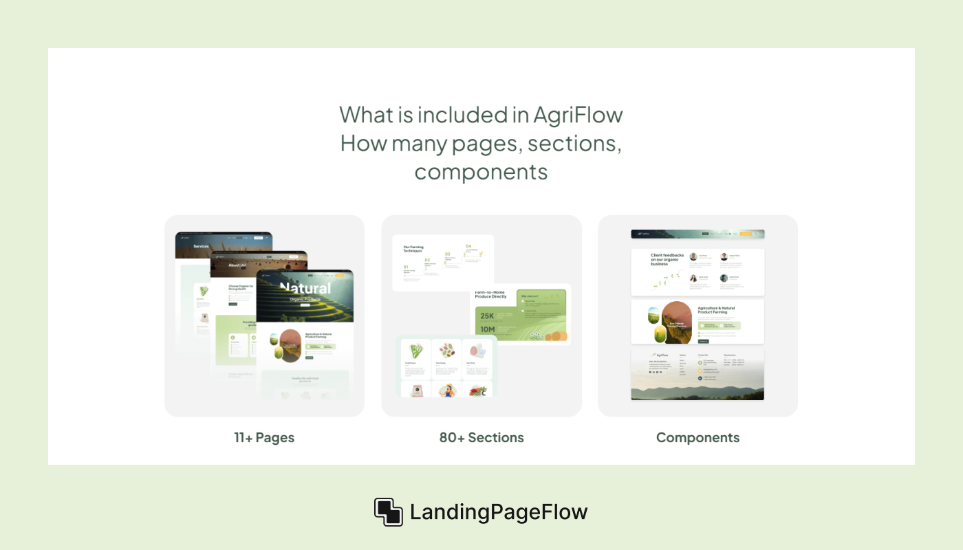 Key Elements of an Effective Splash Page