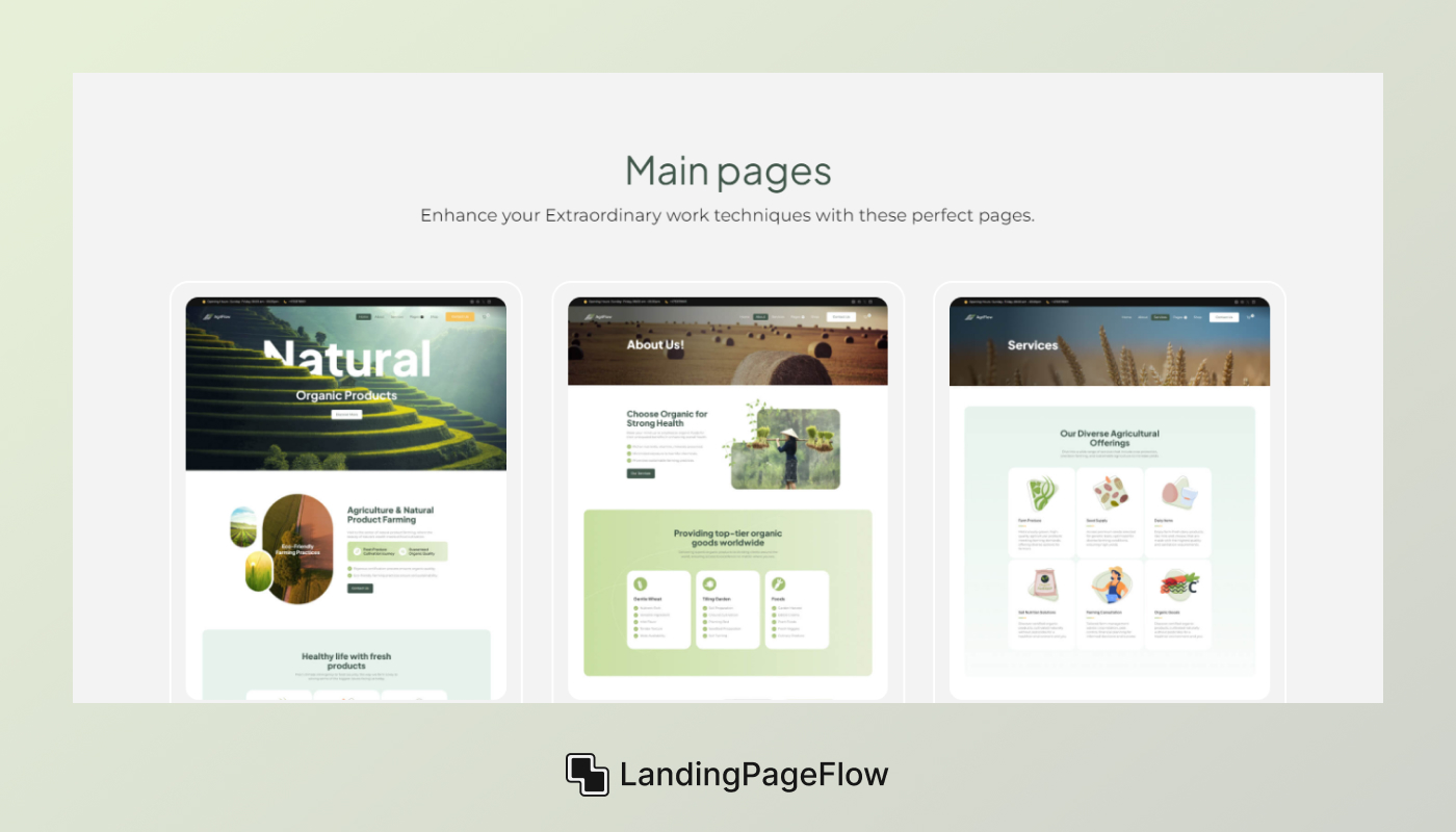 Step-by-Step Guide to Creating Your Splash Page